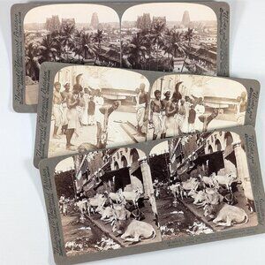 Set of 3 Antique Stereoview cards of India, Goat sacrifice, Hindu Cows,